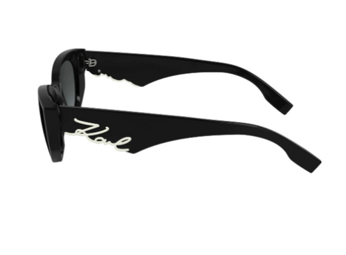 Akiniai nuo saulės Karl Lagerfeld KL6162S