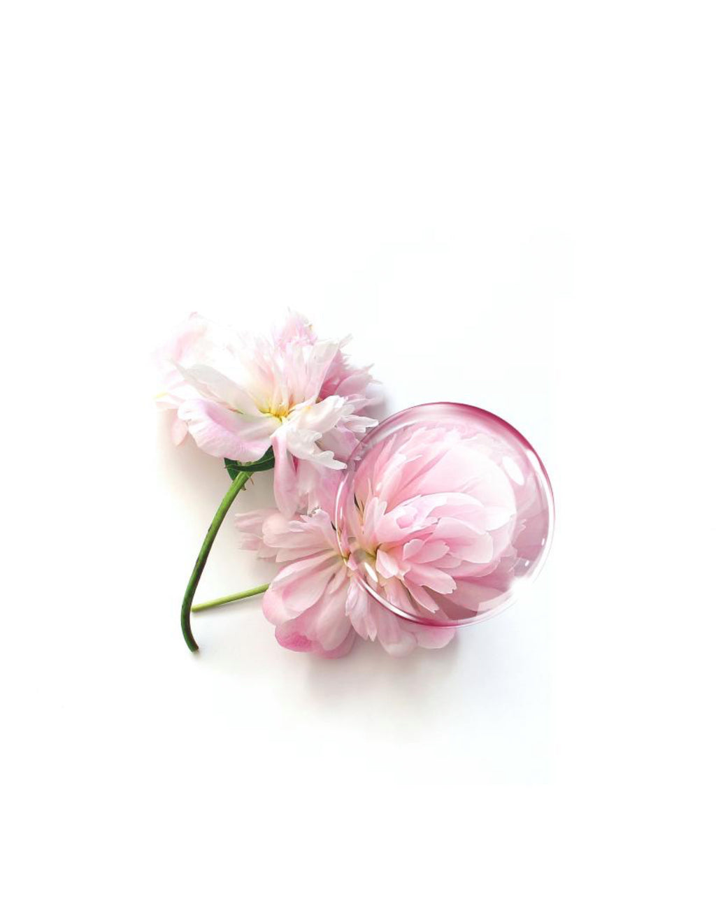 Facial Cream Annayake ULTRATIME 30 ml