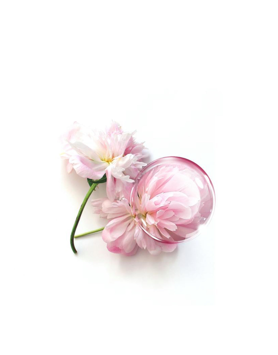 Facial Cream Annayake ULTRATIME 30 ml