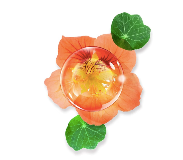 Serum Annayake ULTRATIME 30 ml