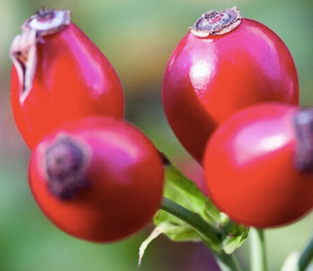 Facial Serum Sesderma Retisil 30 ml