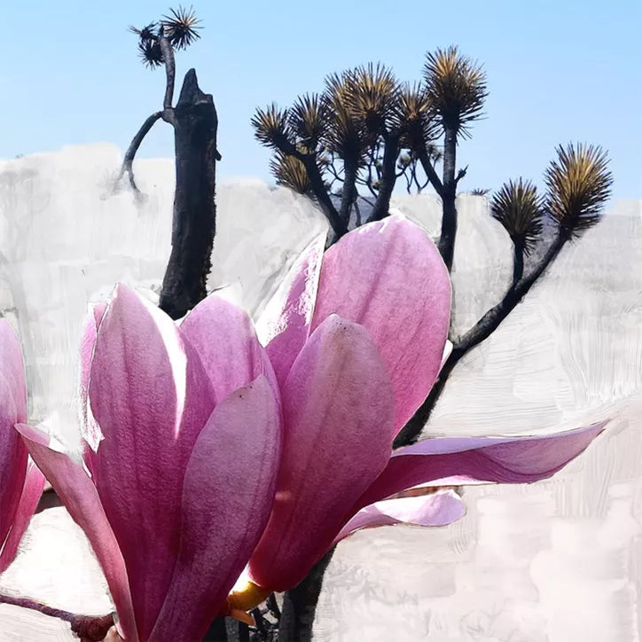 Women's Perfume Byredo MOJAVE GHOST 50 ml