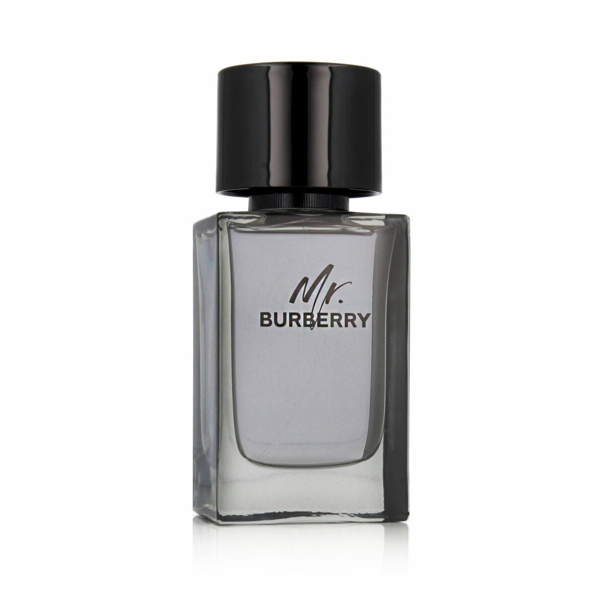 Men's Perfume Burberry MR BURBERRY EDT 100 ml