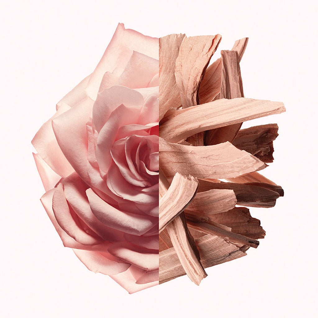 Women's Perfume Givenchy IRRESISTIBLE NUDE VELVET EDP